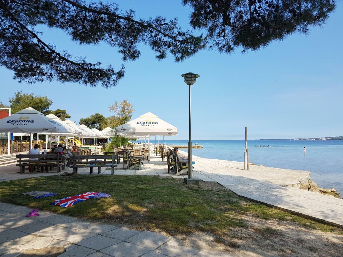 Marul Zadar