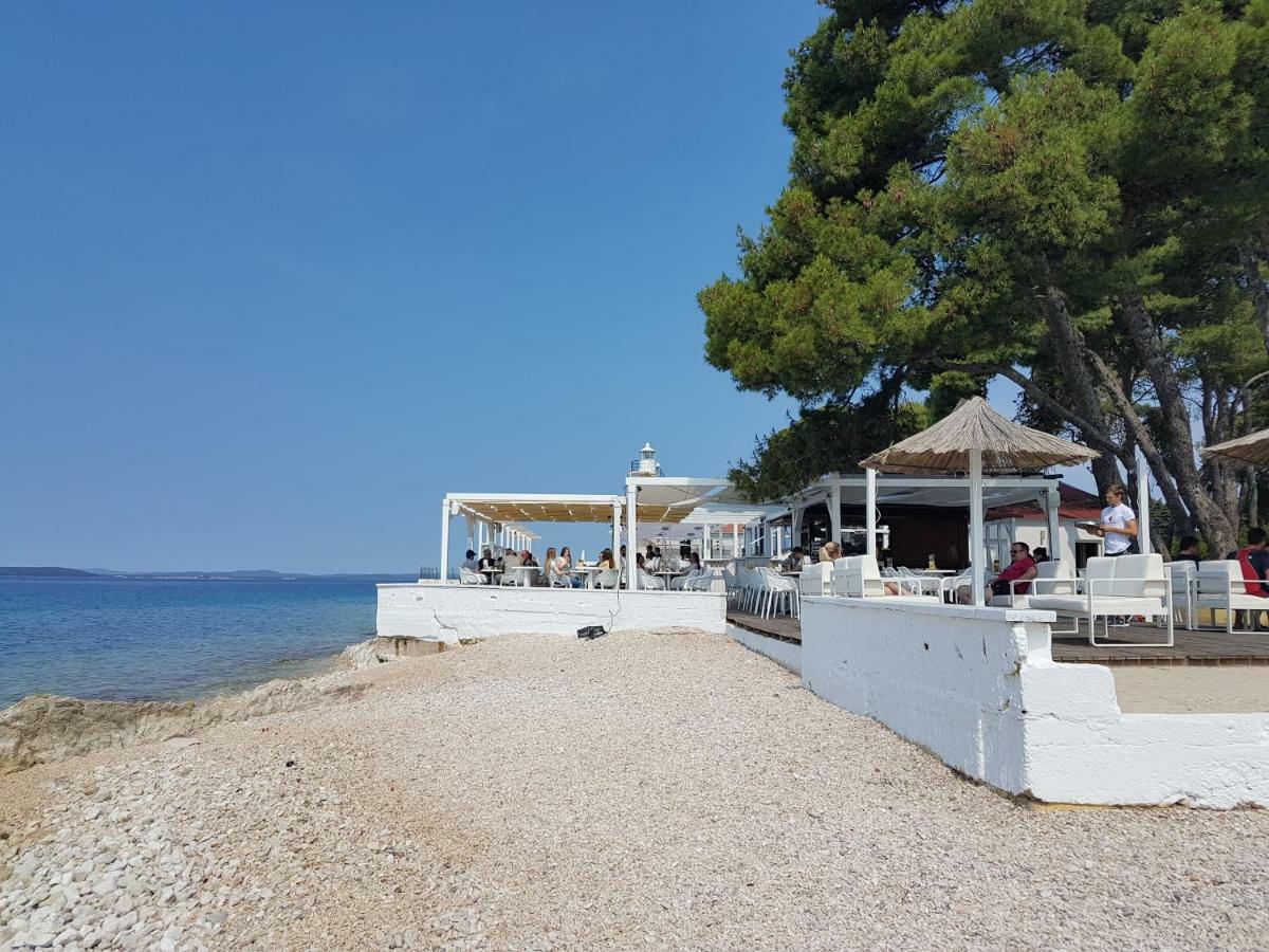 Marul * Zadar